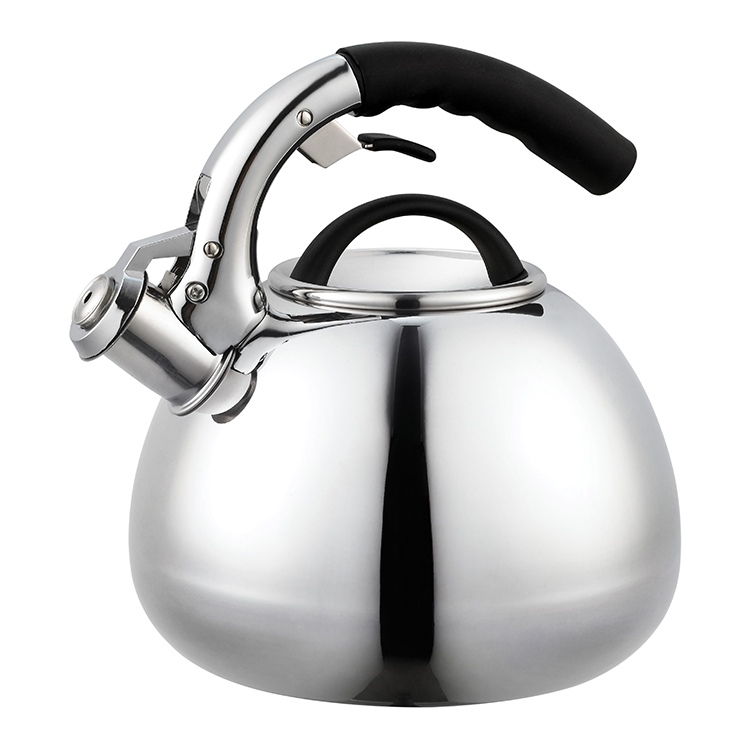 Exploring The Charm of The Whistling Tea Kettle And Unveiling The Best Picks