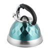 Tea Kettle Water Ketttle Best Whistling Tea Kettle Camp Kettle in Mint Green Color