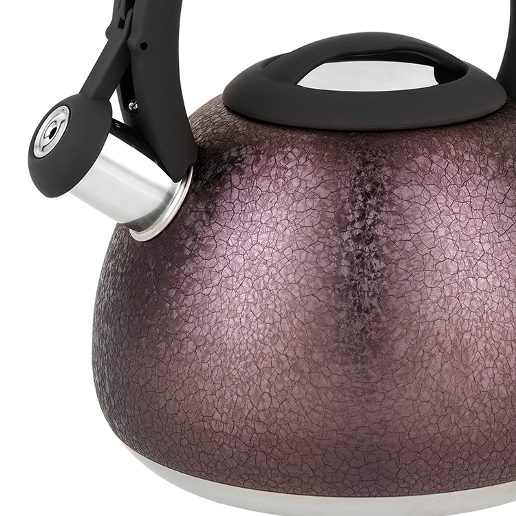 2.7L Stylish Simplicity Wholesale Factory Accept Customization Purple Stainless Steel Whistling Kettle With Nylon Handle