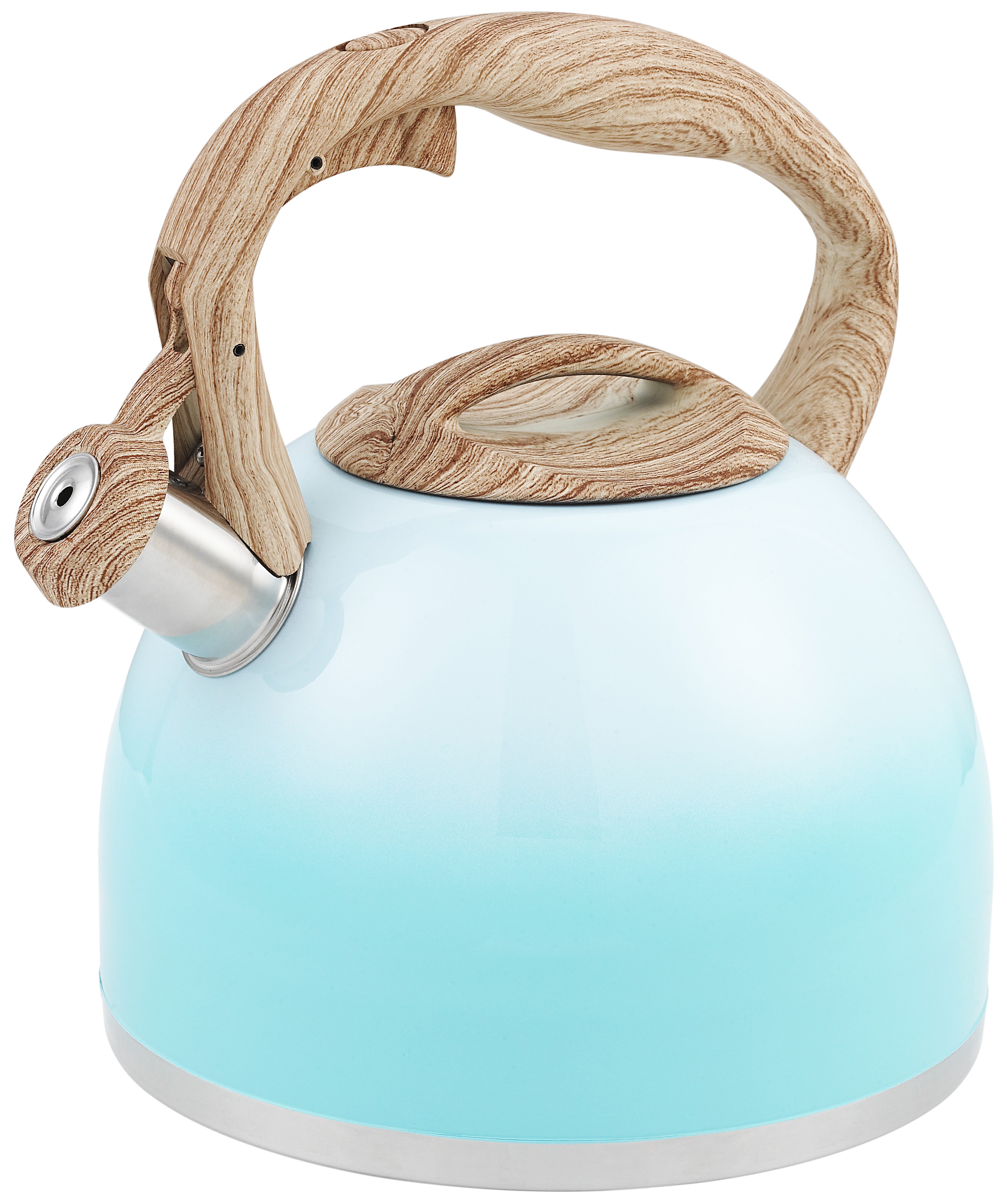 Whistling Tea Kettle Stainless Steel 2.8L Economic Kettle With Color Painting For Promotional Gift