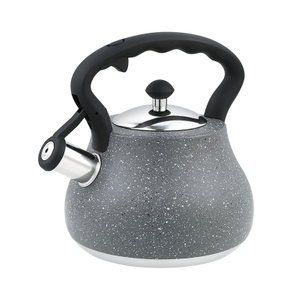 Daily Home Use Product Stainless Steel Tea Whistle Kettle Induction